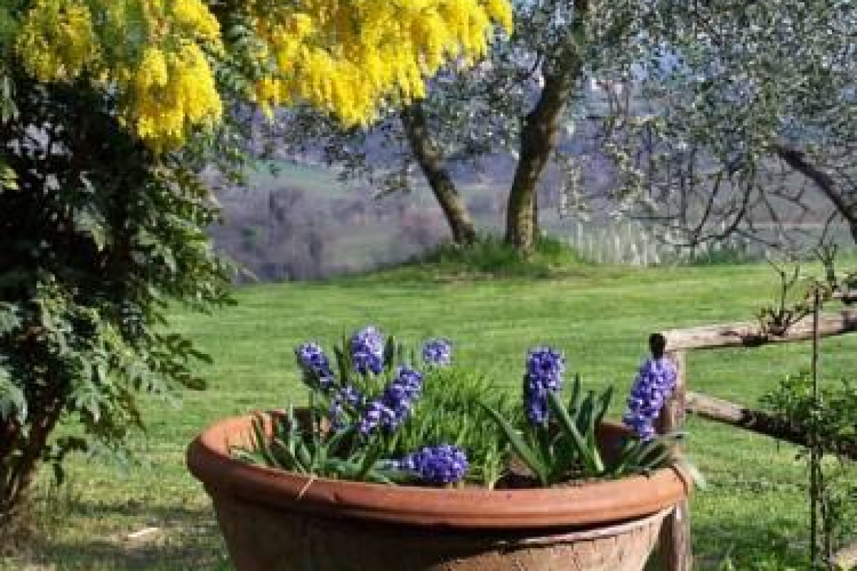 Poggetto Di Montese
