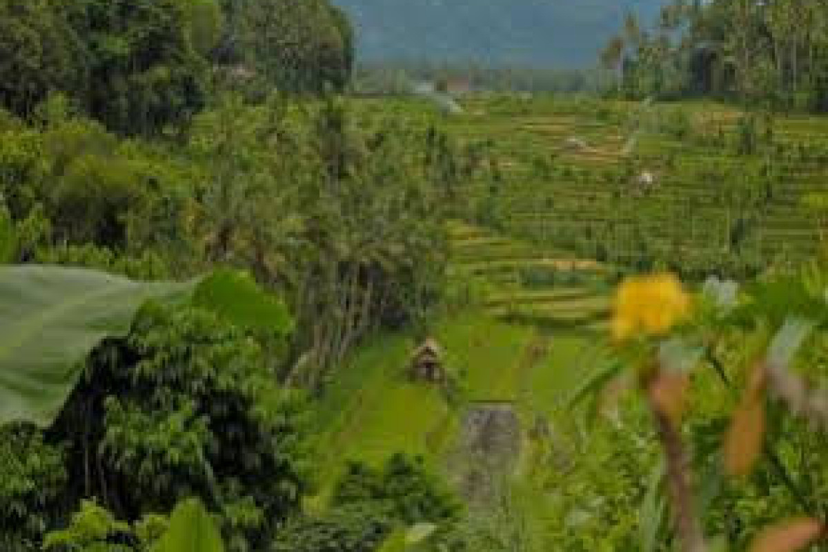 Pondok Batur Indah