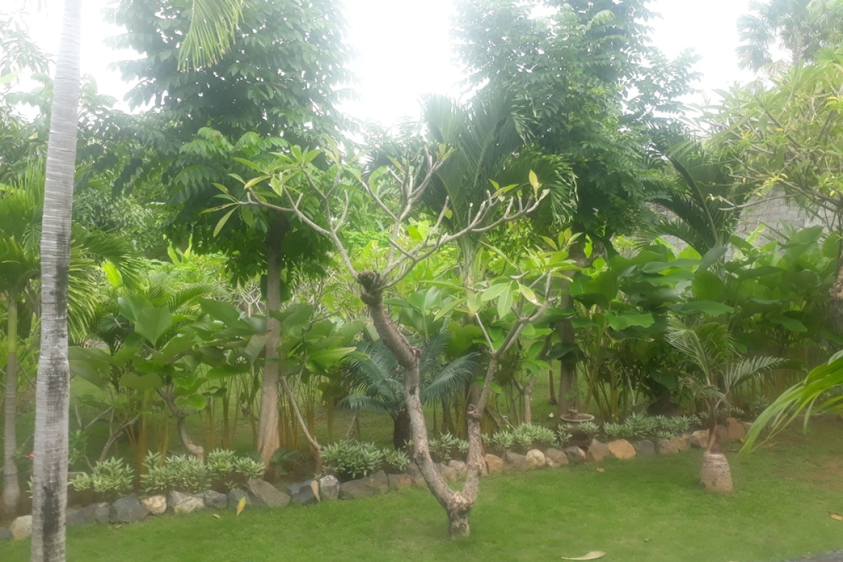 Pondok Wisata Sartaya 2