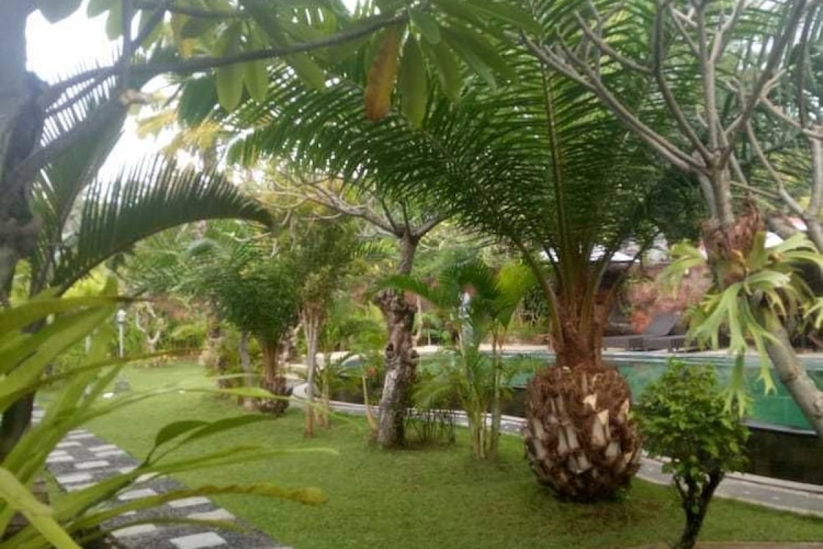 Pondok Wisata Sartaya 2