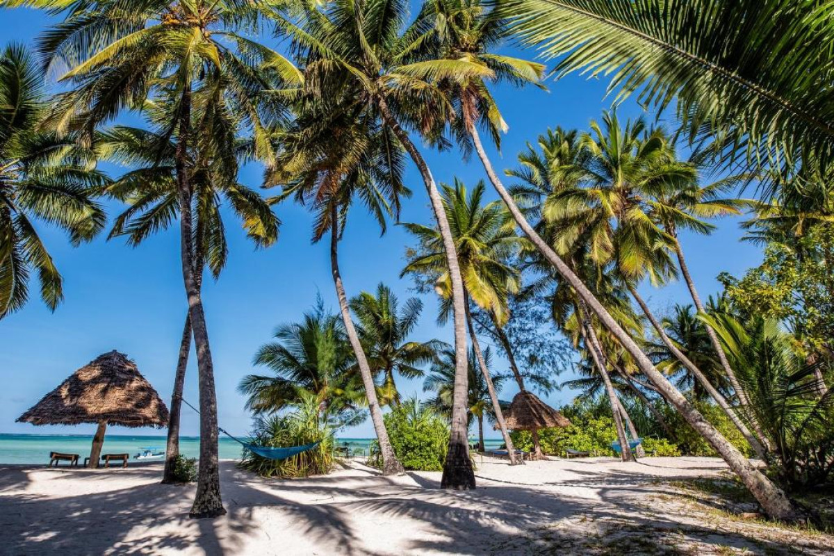 Pongwe Beach Hotel
