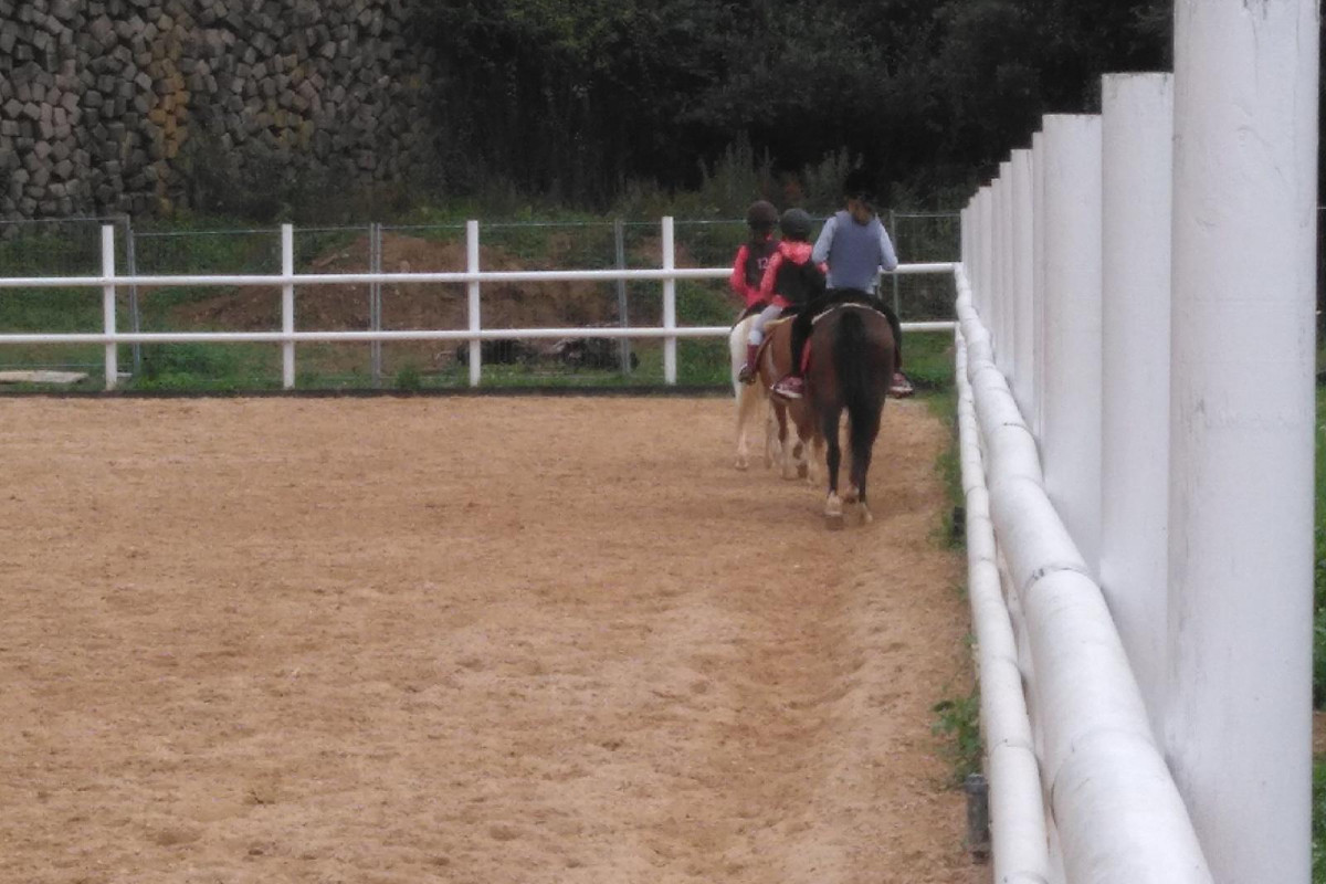Posada La Cotía