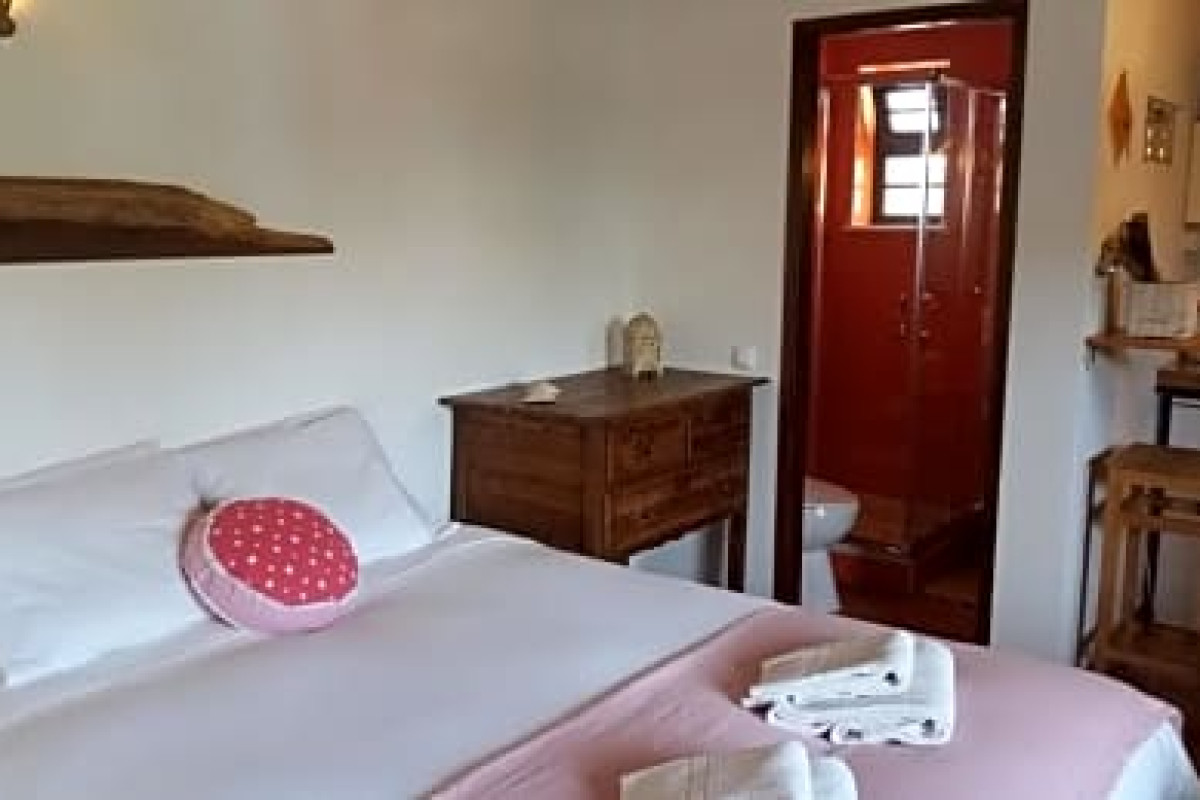 Pura Vida Divehouse