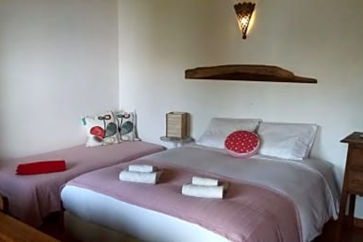 Pura Vida Divehouse