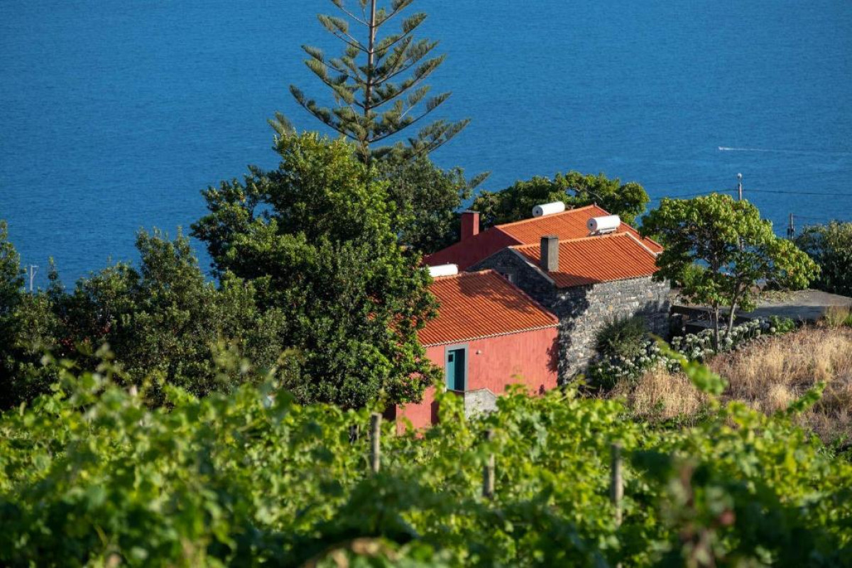 Quinta das Vinhas