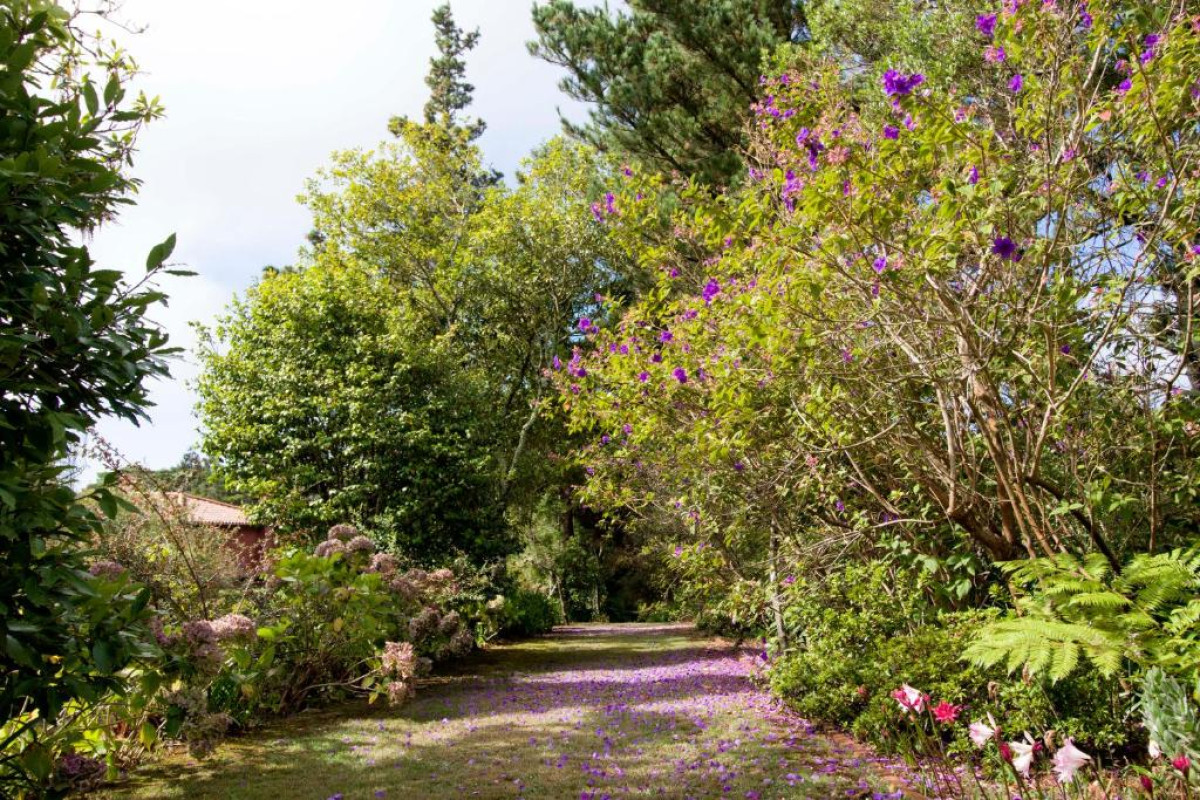 Quinta Santo Antonio da Serra