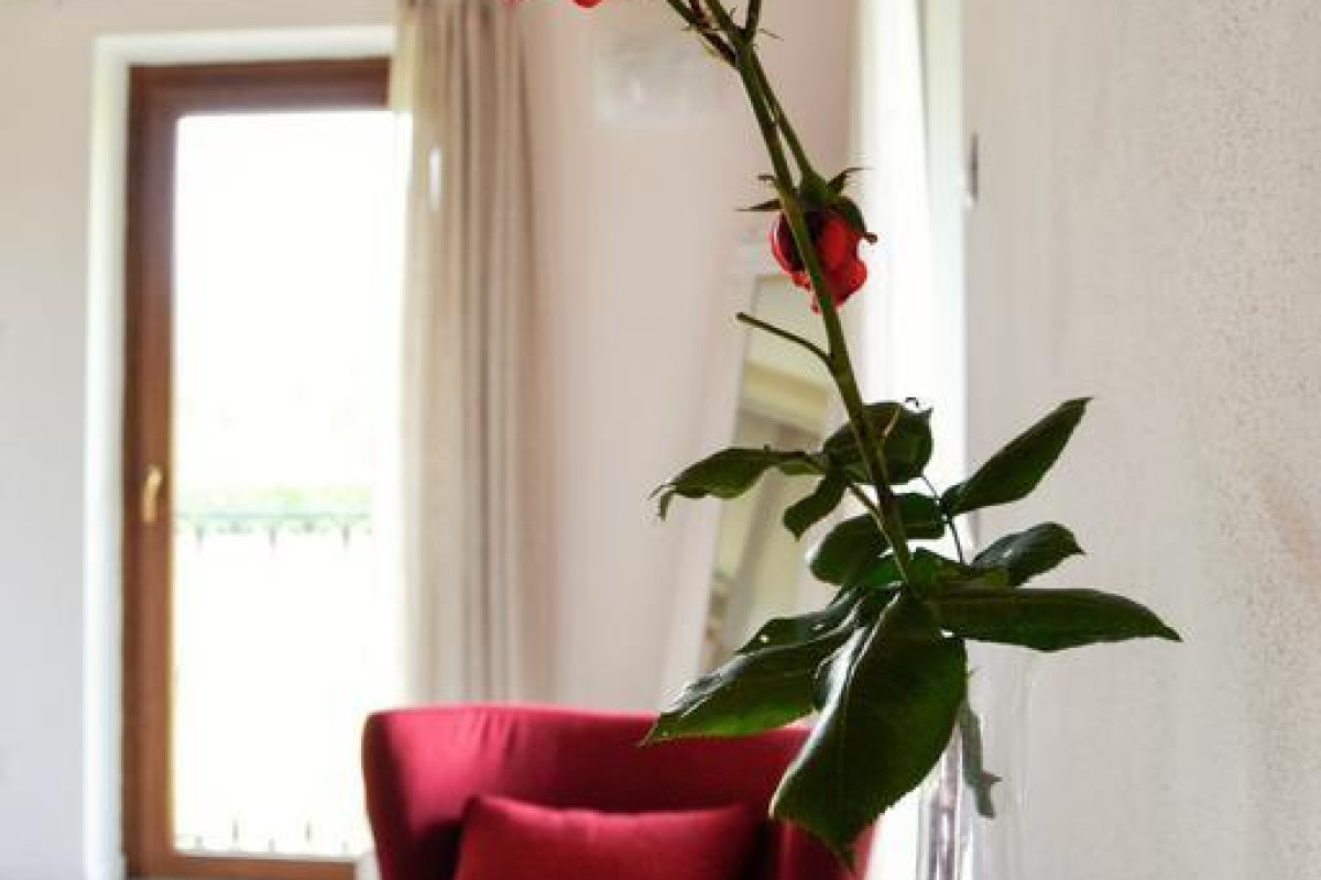 Rama Relais