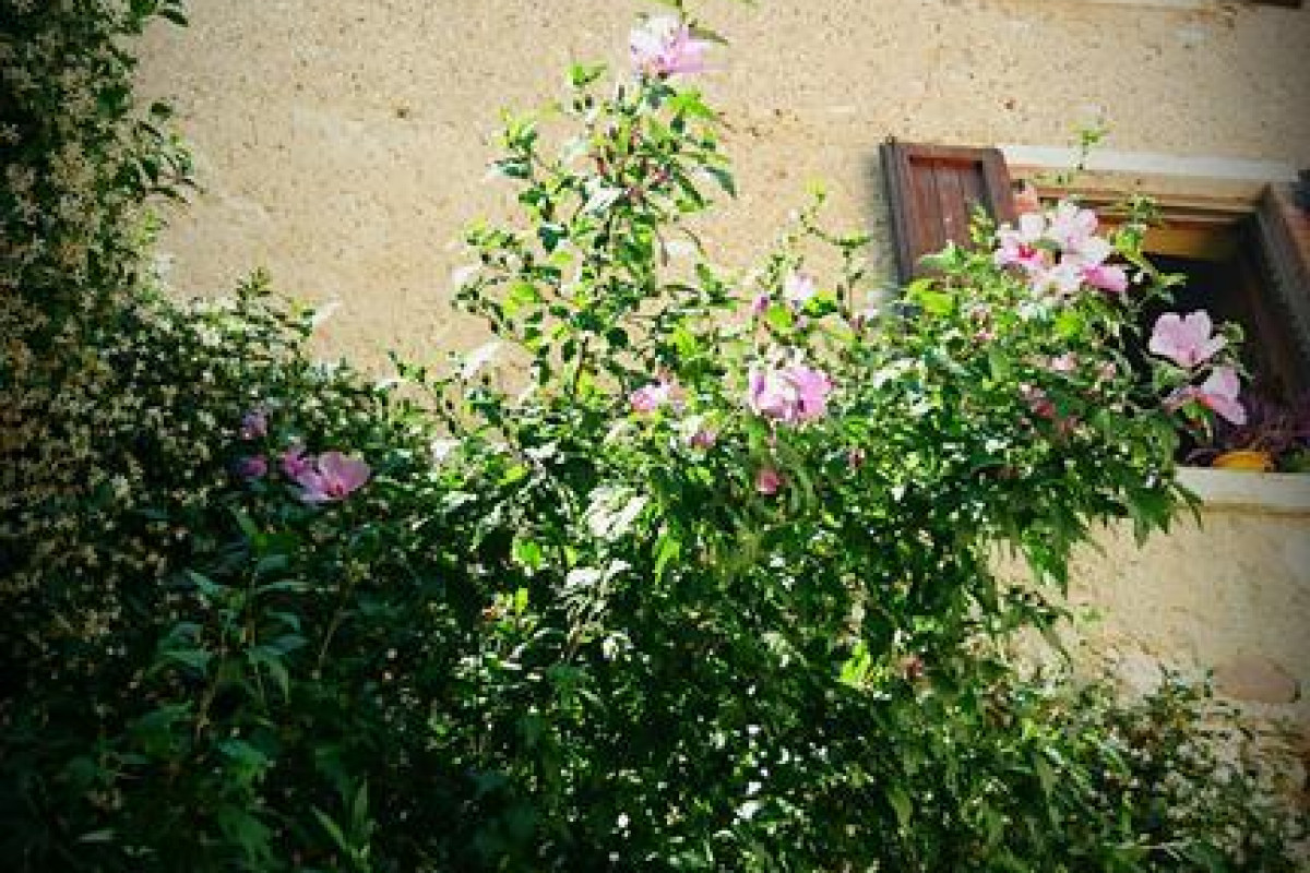 Rama Relais
