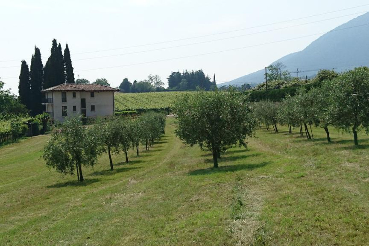 Rama Relais