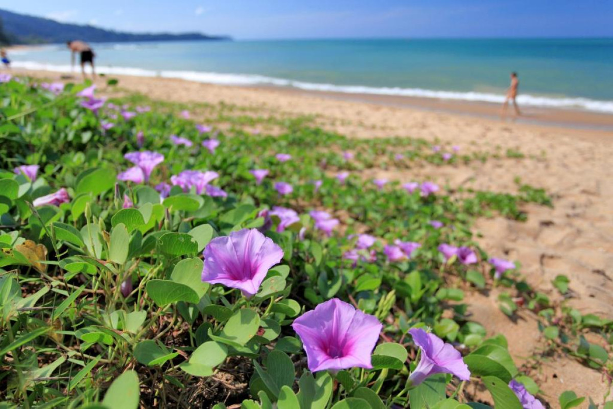Ramada Resort by Wyndham Khao Lak