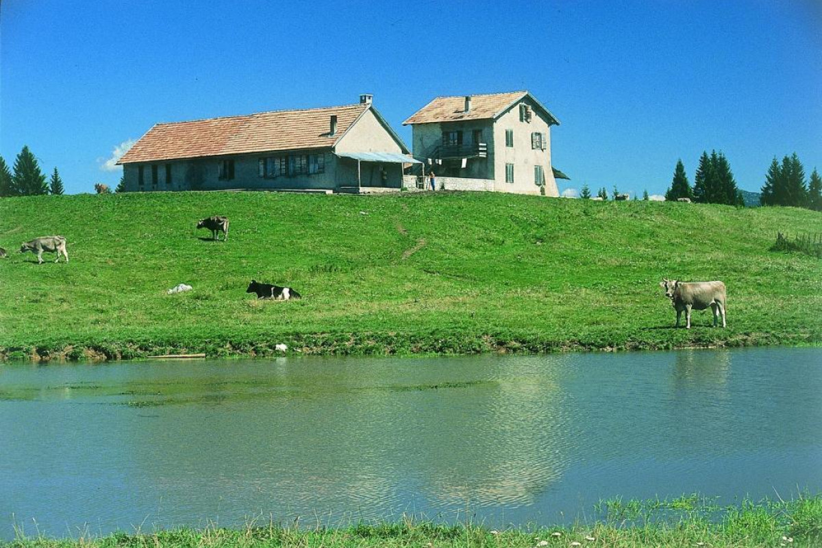 Residence Alaska