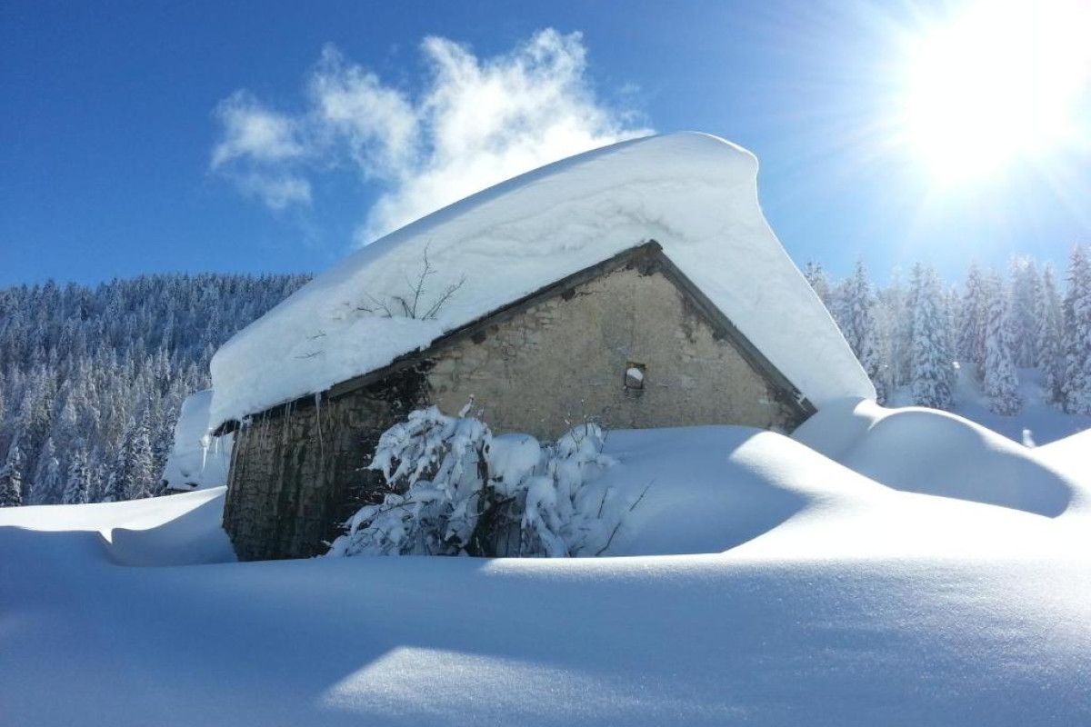 Residence Alaska