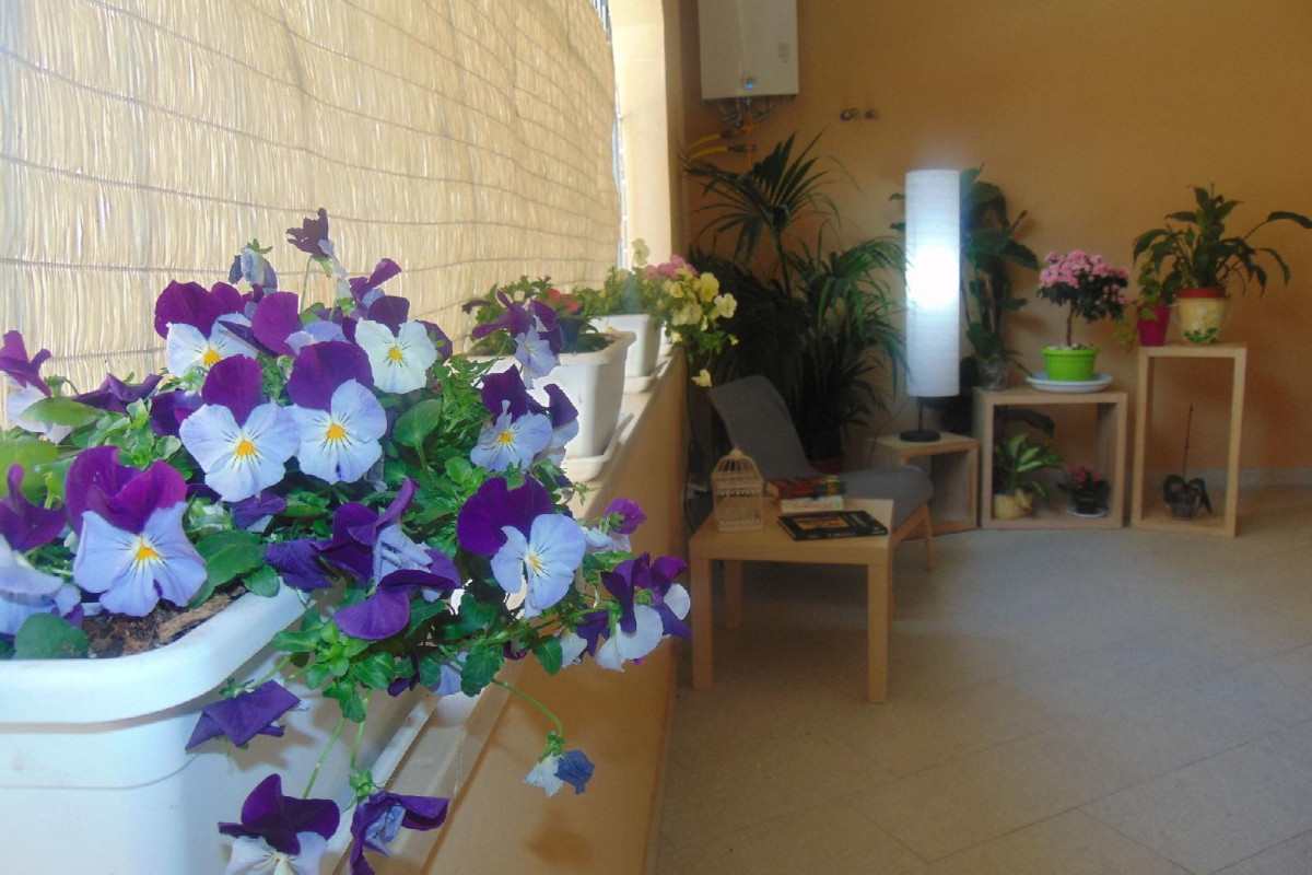 Residence Le Isole