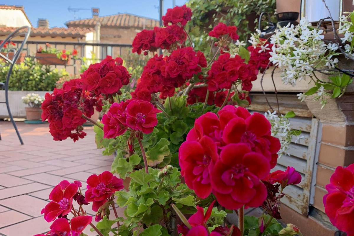 Residence Manassei