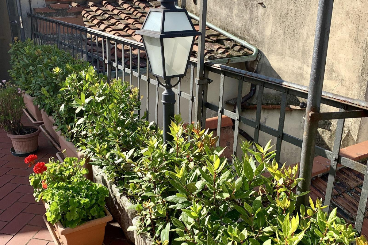 Residence Manassei