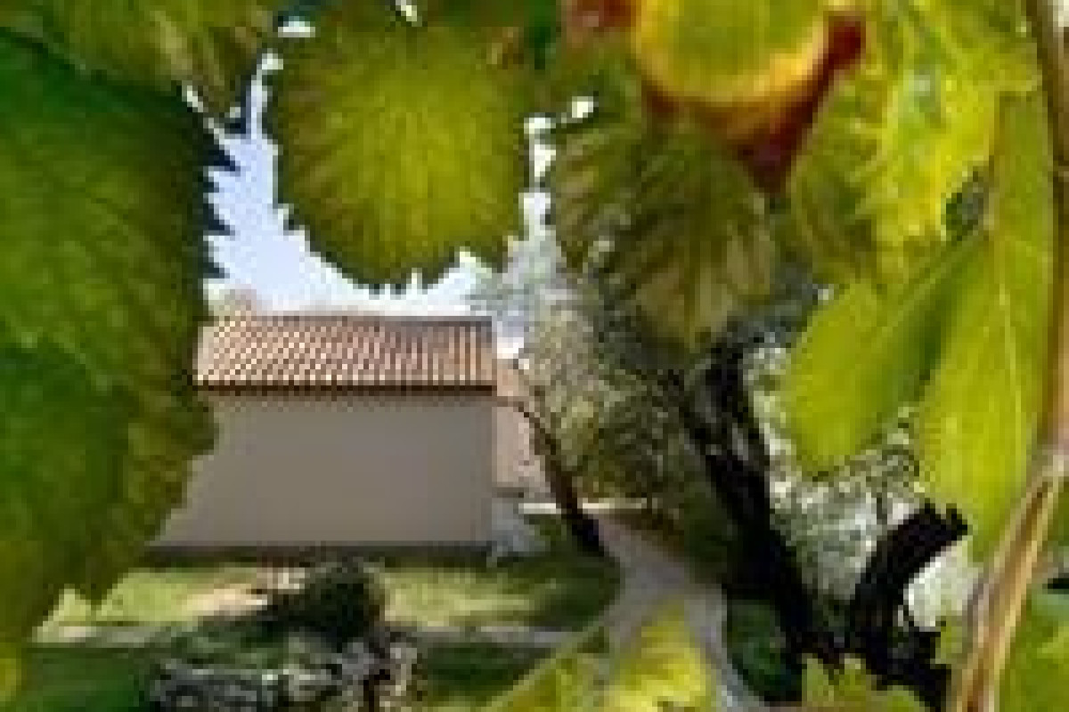 Residence Vigna Del Mare