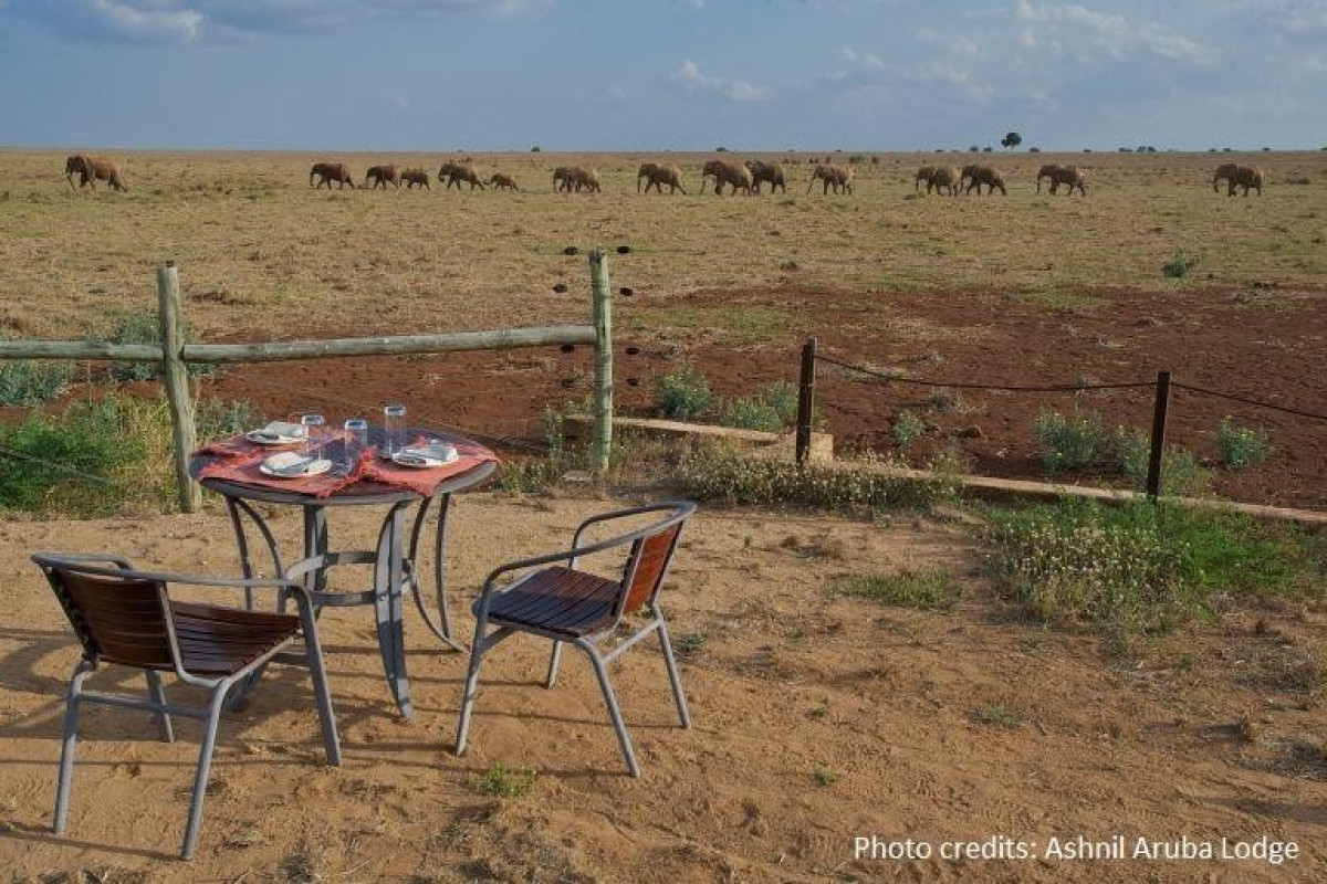 Jacaranda Beach Resort and Safari Tsavo Explorer RO