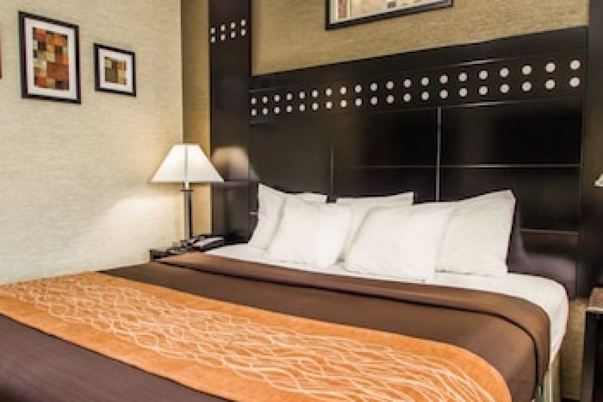 RODEWAY INN BRONX ZOO