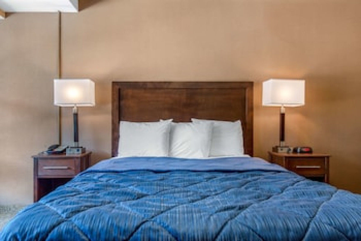 RODEWAY INN CHICAGO