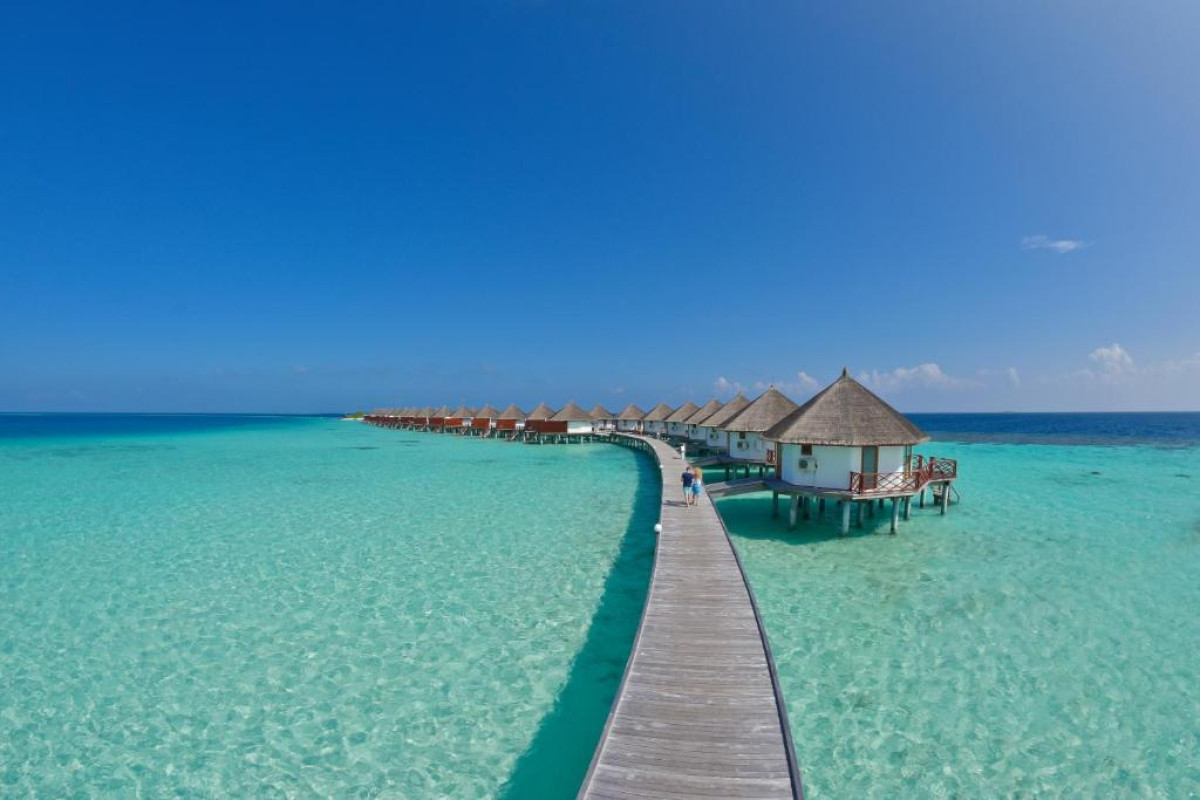 Safari Island Resort