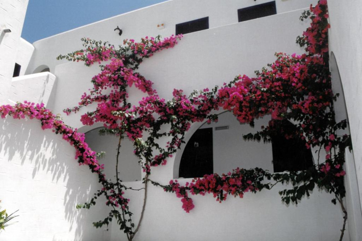 San Antonio Summer House