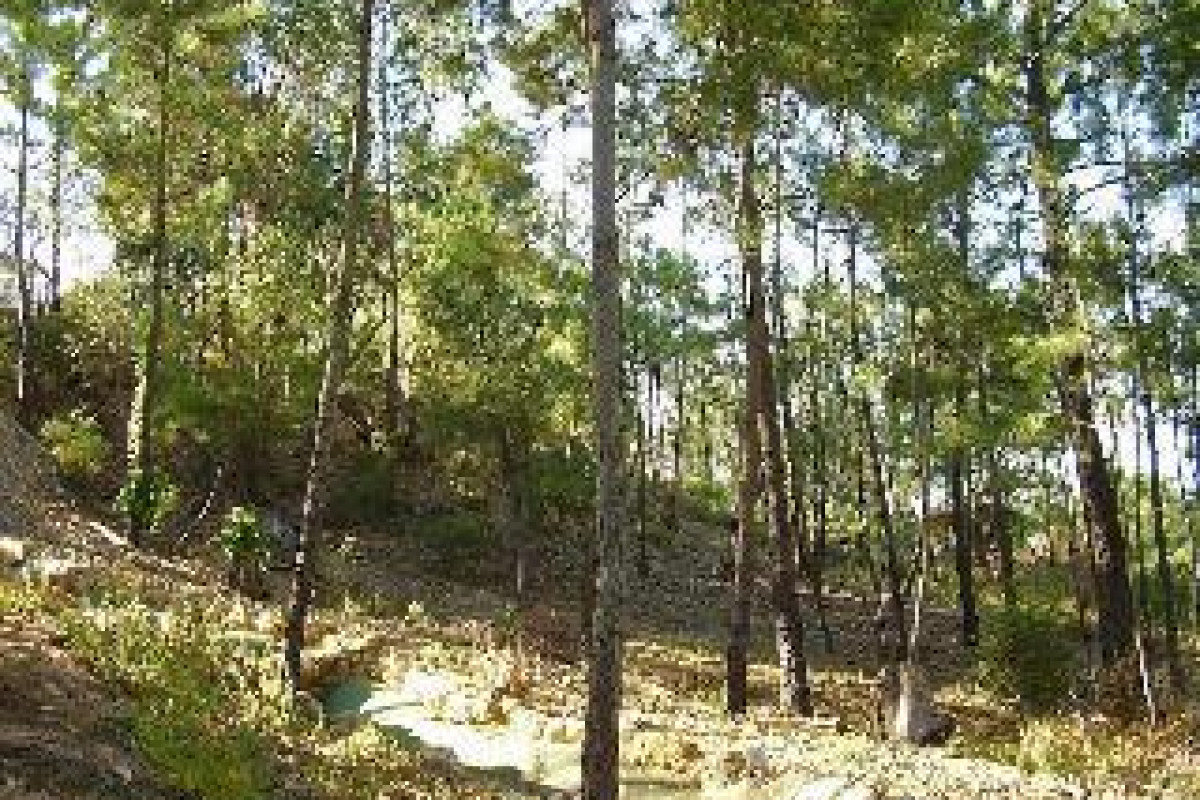 San Miguel