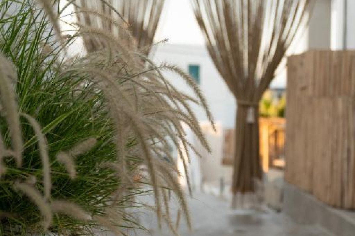 Sandaya Luxury Suites