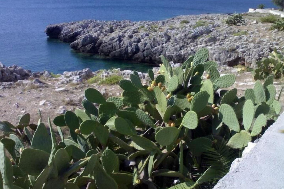 Santa Caterina Resort