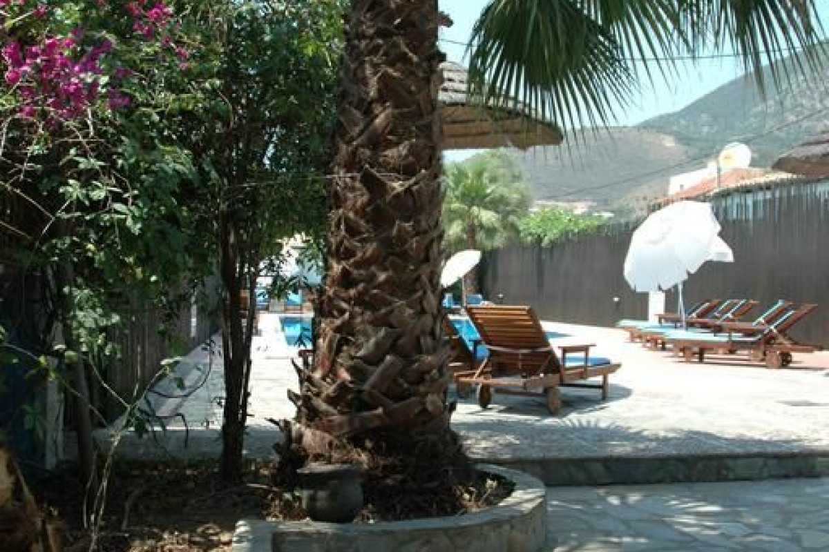 Santa Maura Studios & Apartments Lefkada