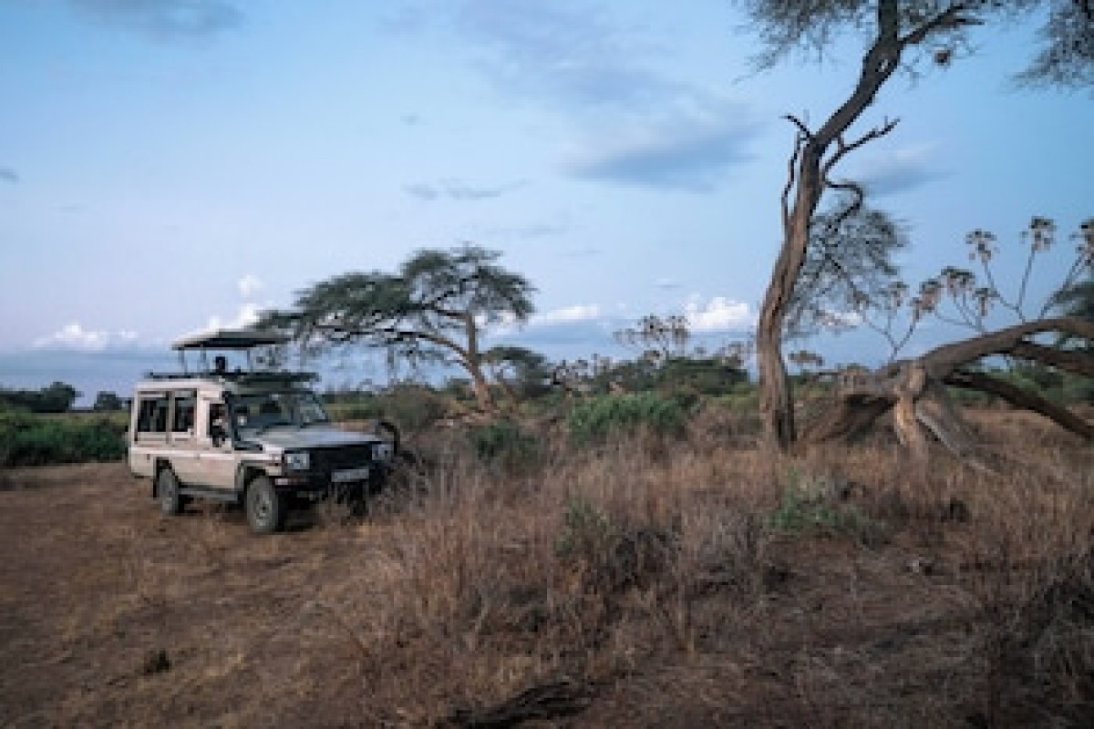SAROVA SHABA LODGE