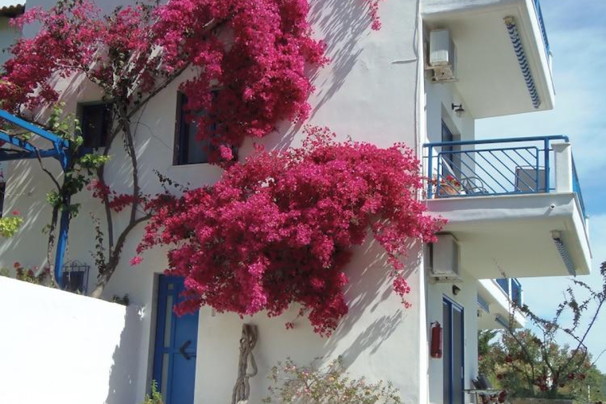 Sartivista