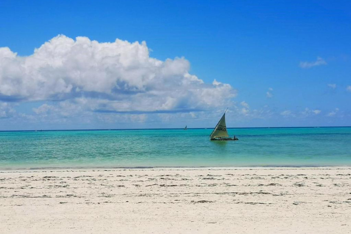 SBH Monica Zanzibar