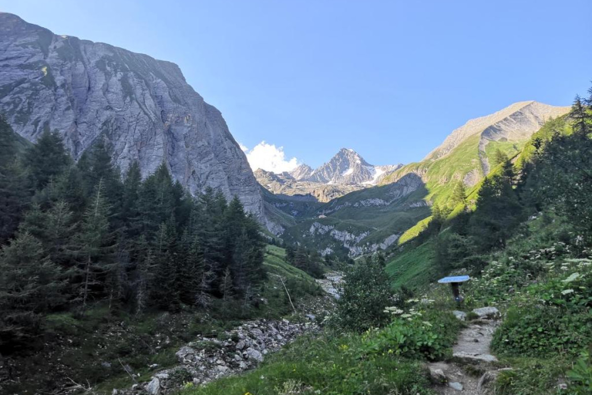 Scol Sporthotel Grossglockner