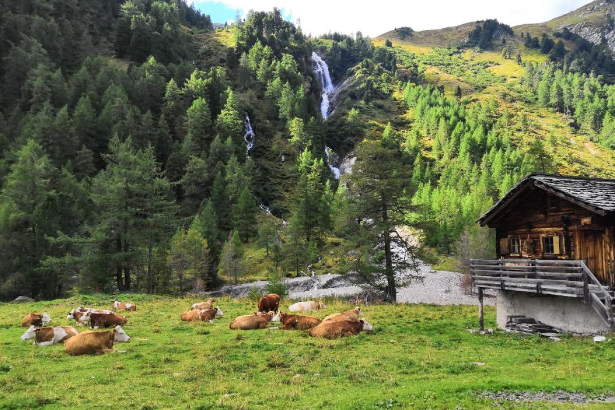 Scol Sporthotel Grossglockner