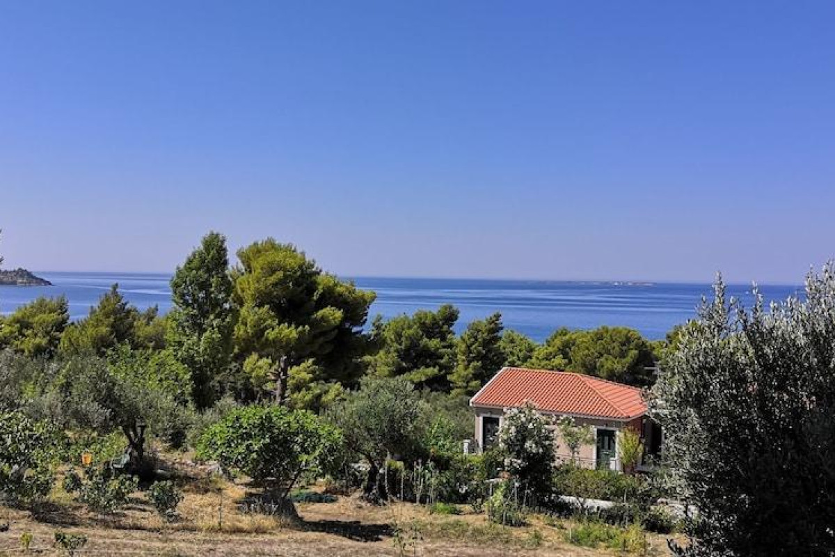 SEAPINE STUDIOS