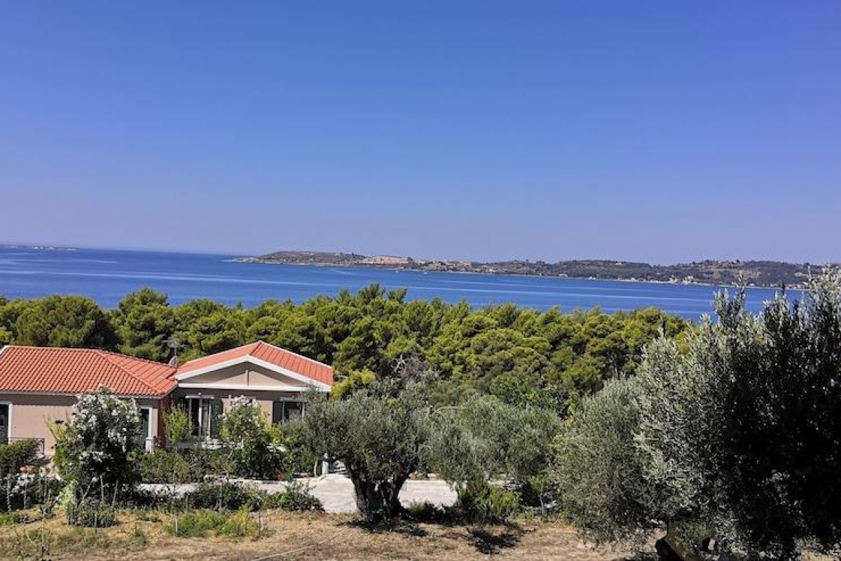 SEAPINE STUDIOS