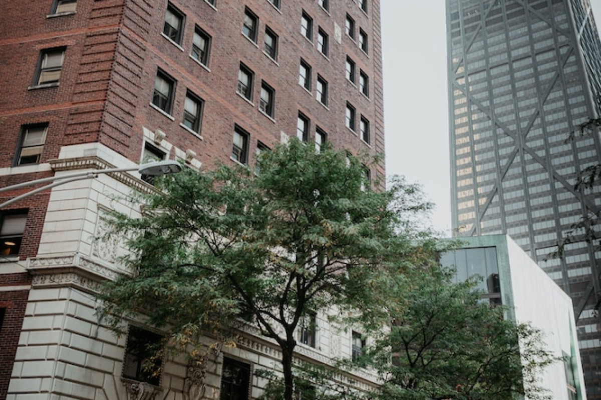 SELINA CHICAGO