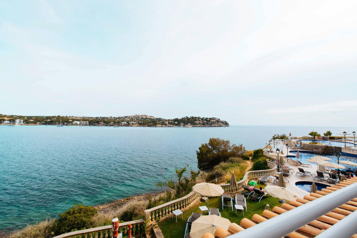 Sentido Fido Punta del Mar