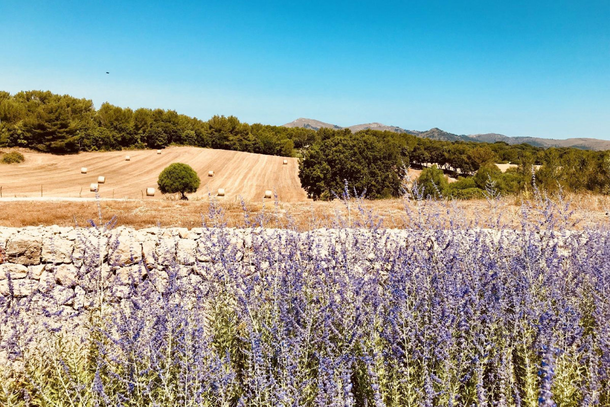 S'estelrica Finca Hotel