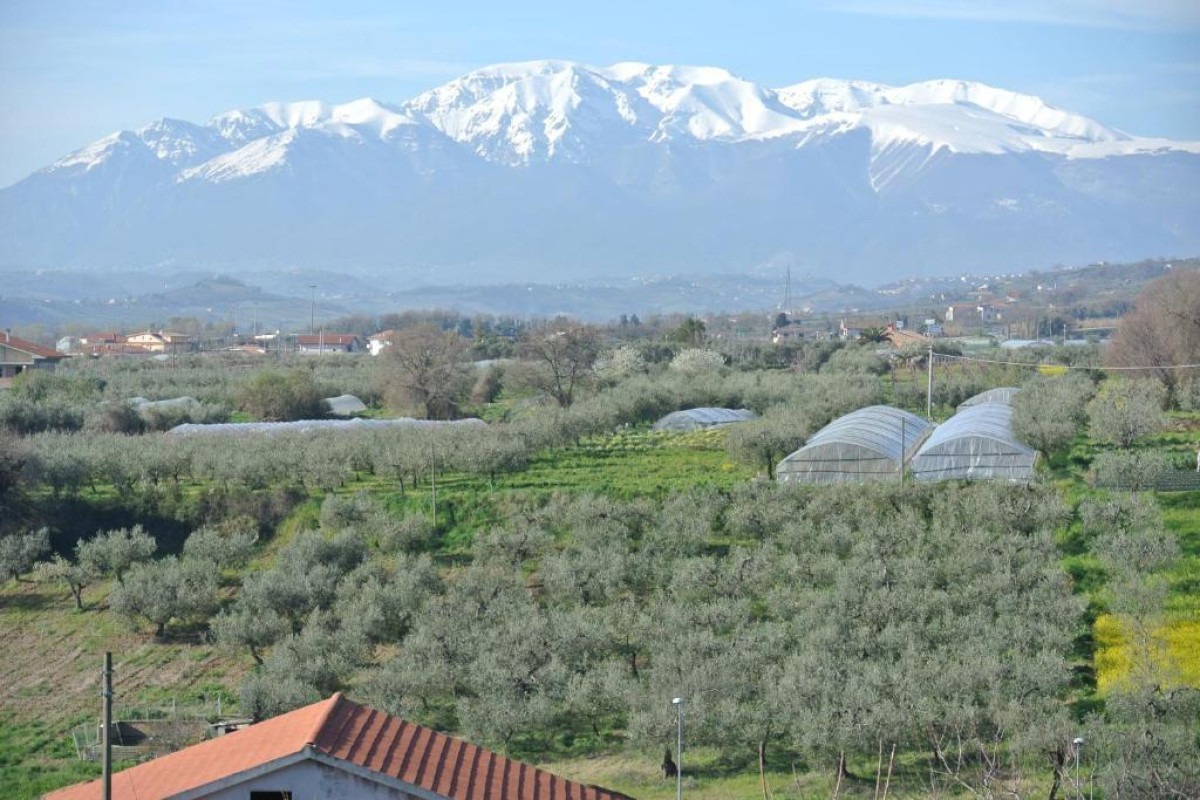 Setteventi B&B