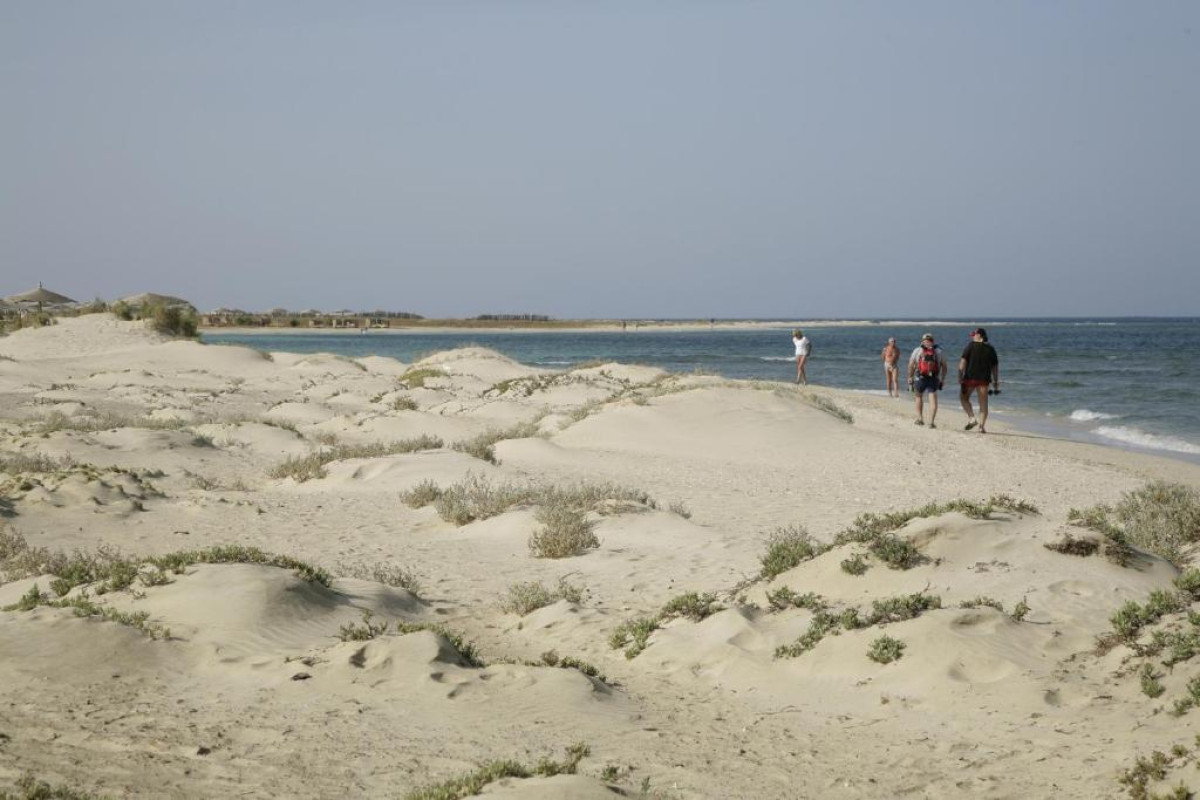 Shams Alam Beach Resort