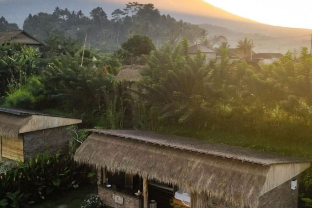 Shigar Livin Bali