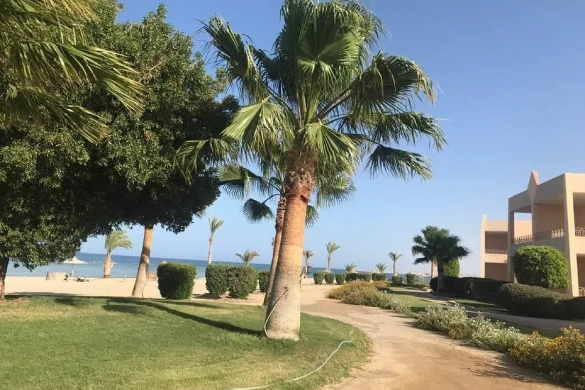 Shoni Bay Resort