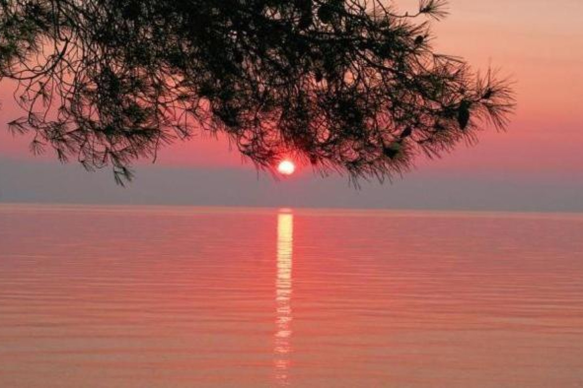 Siagas Beach Hotel