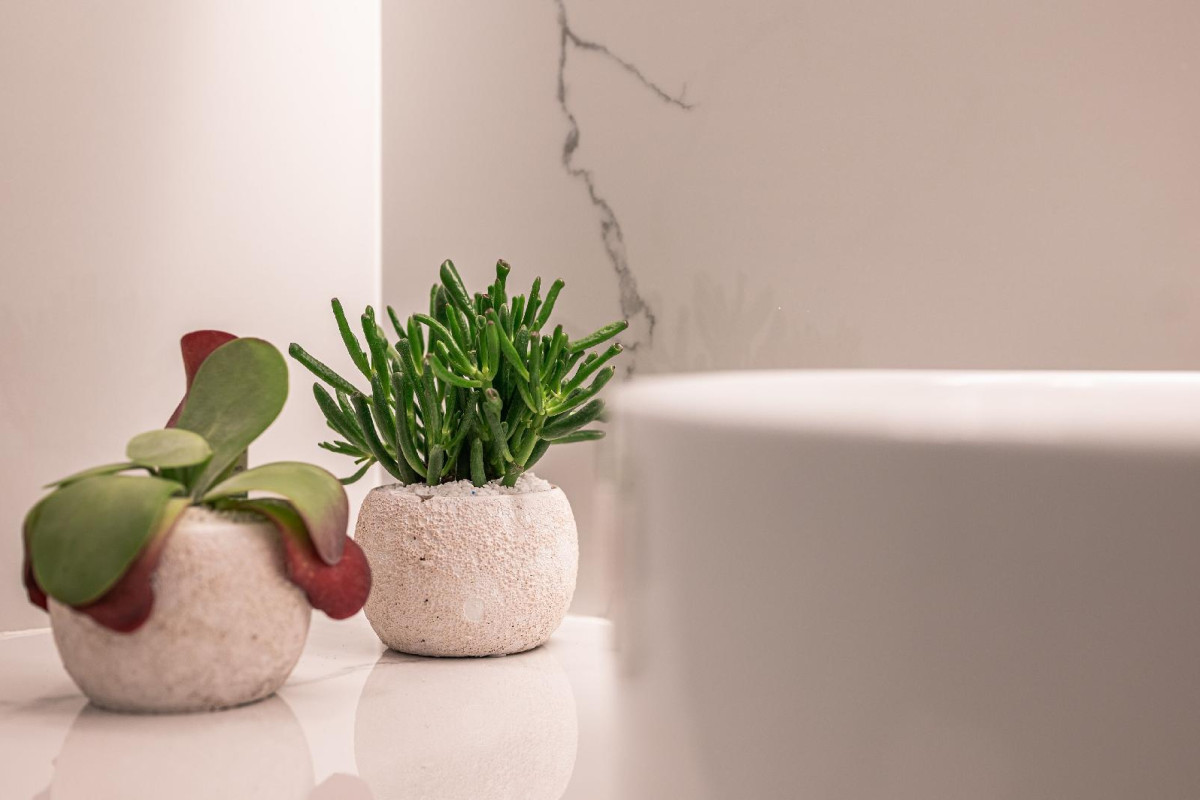 Silo Luxury Rooms