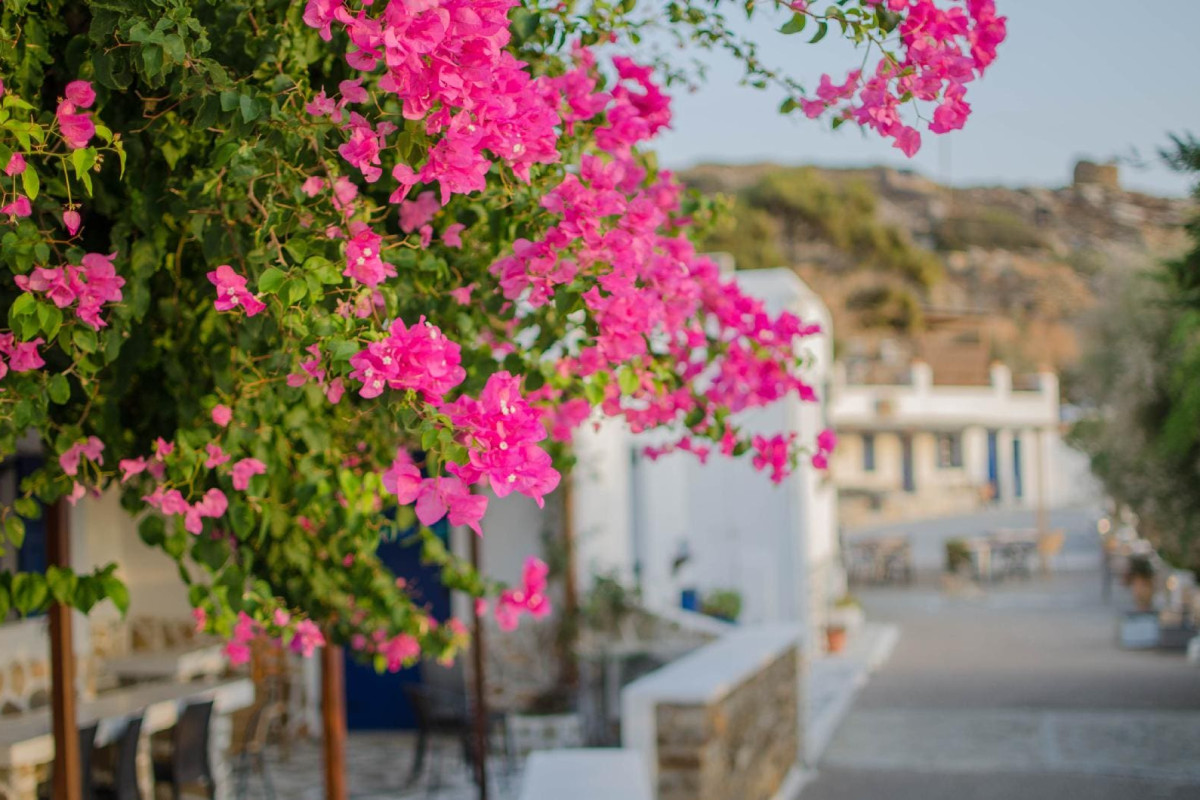 Skala