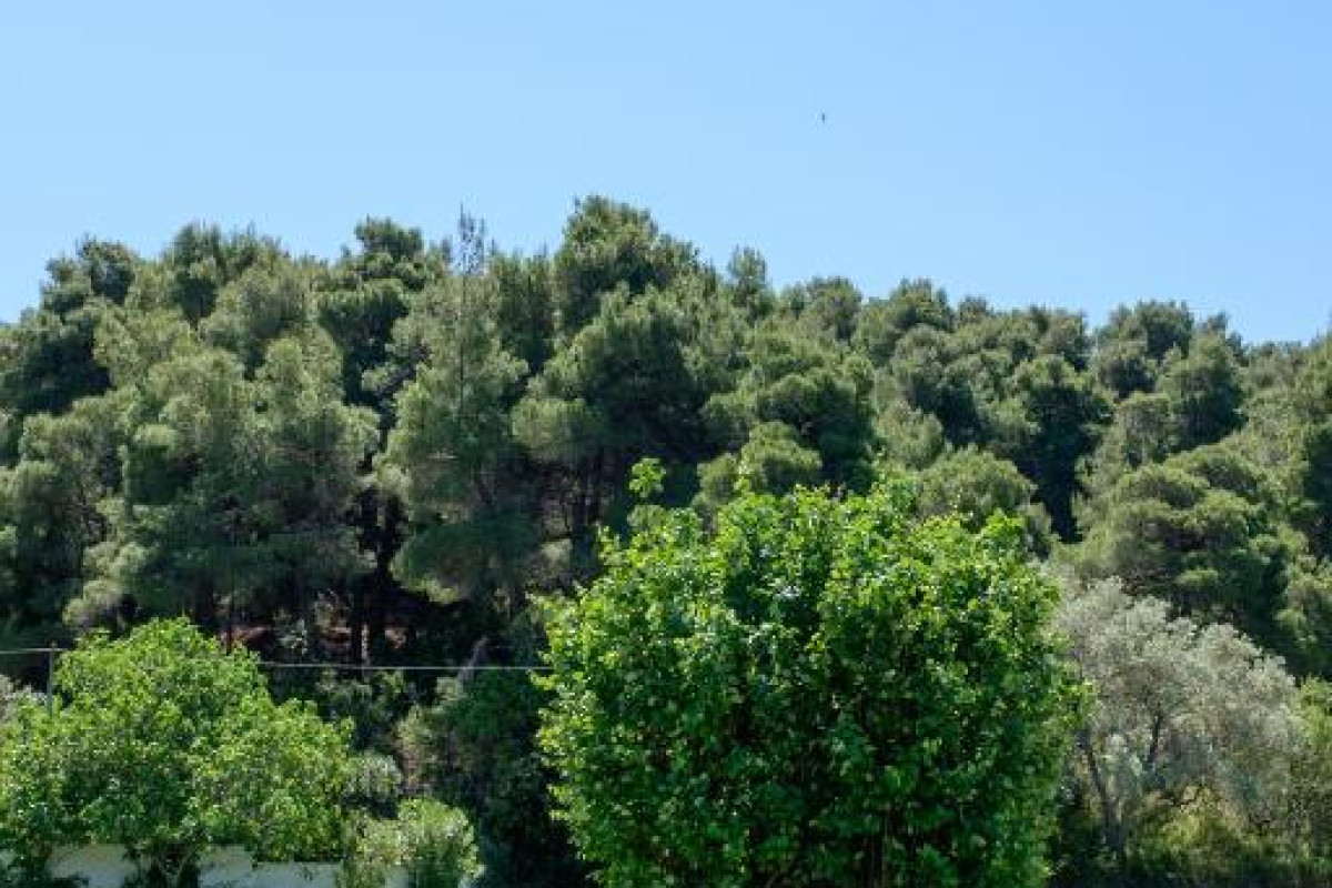 Skiathos Holidays Suites & Villas