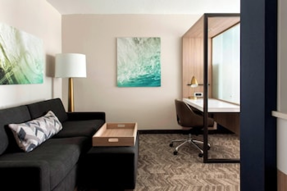 SPRINGHILL SUITES BY MARRIOTT TAMPA SUNCOAST PARKWAY