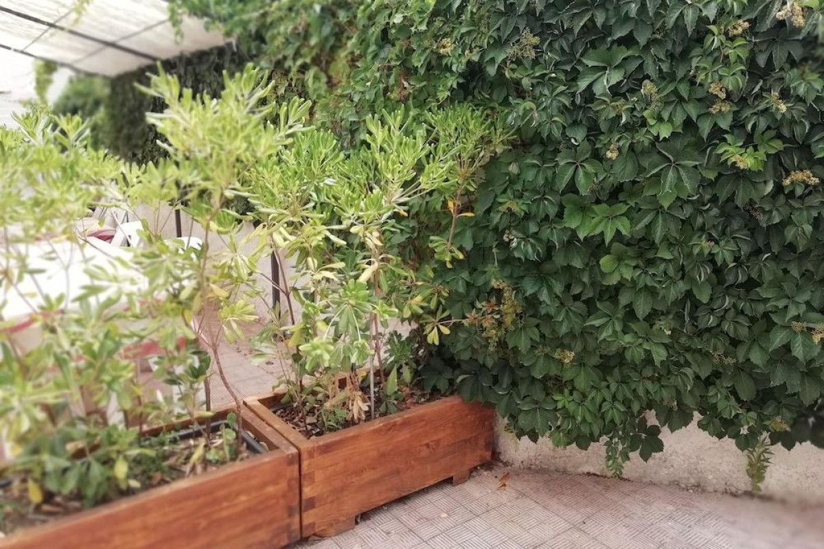 Stella Marina Albergo Diffuso B&B