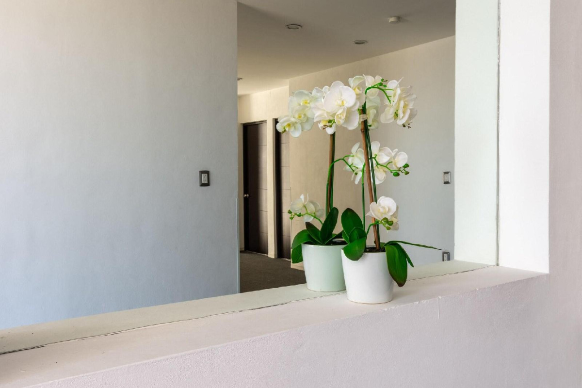 Suites Mexico Inn Salamanca